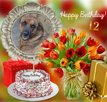 Tyaji of the purujit1912 family