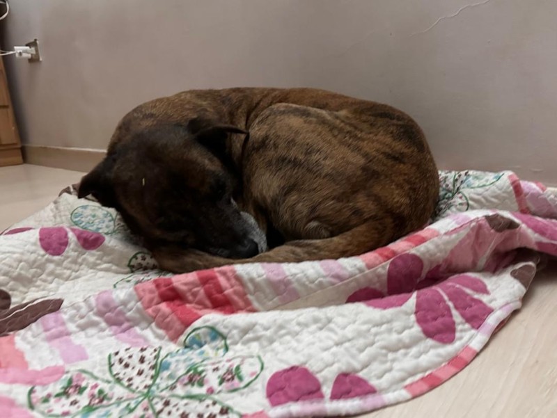 purujit1912 uploaded   1 year/s ago