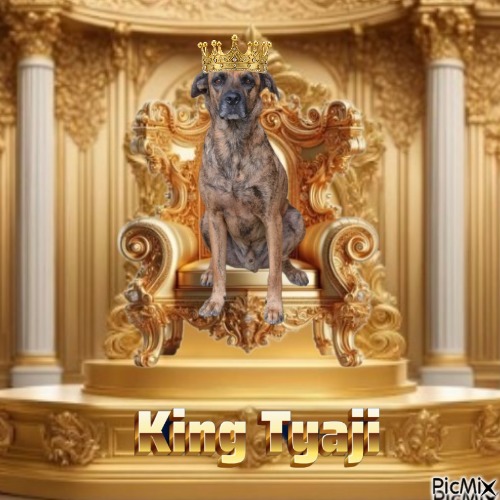 Tyaji of the purujit1912 family