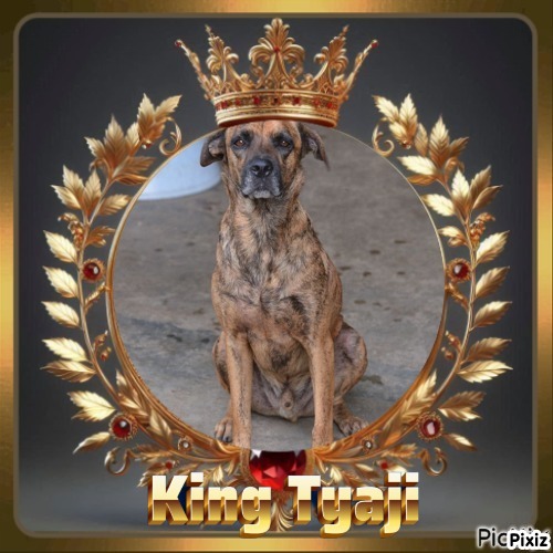 Tyaji of the purujit1912 family