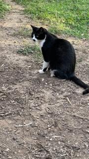 purujit1912 uploaded   3 year/s ago