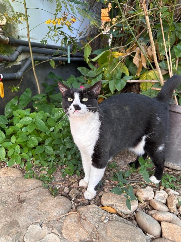 purujit1912 uploaded   299  day/s  ago