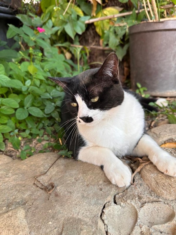 purujit1912 uploaded   1 year/s ago