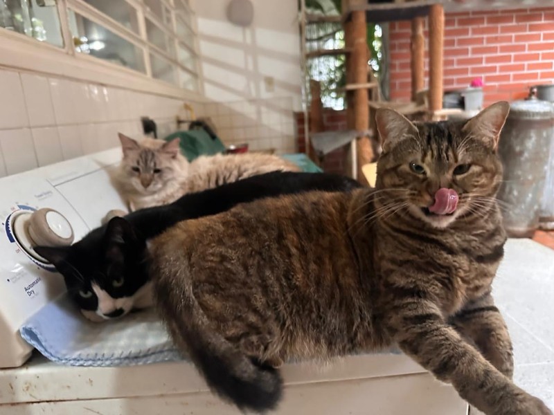 purujit1912 uploaded   1 year/s ago