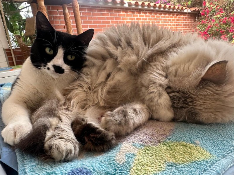 purujit1912 uploaded   1  day/s  ago