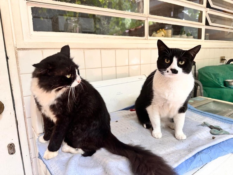 purujit1912 uploaded   305  day/s  ago