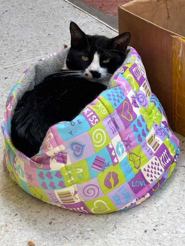 purujit1912 uploaded   1  day/s  ago