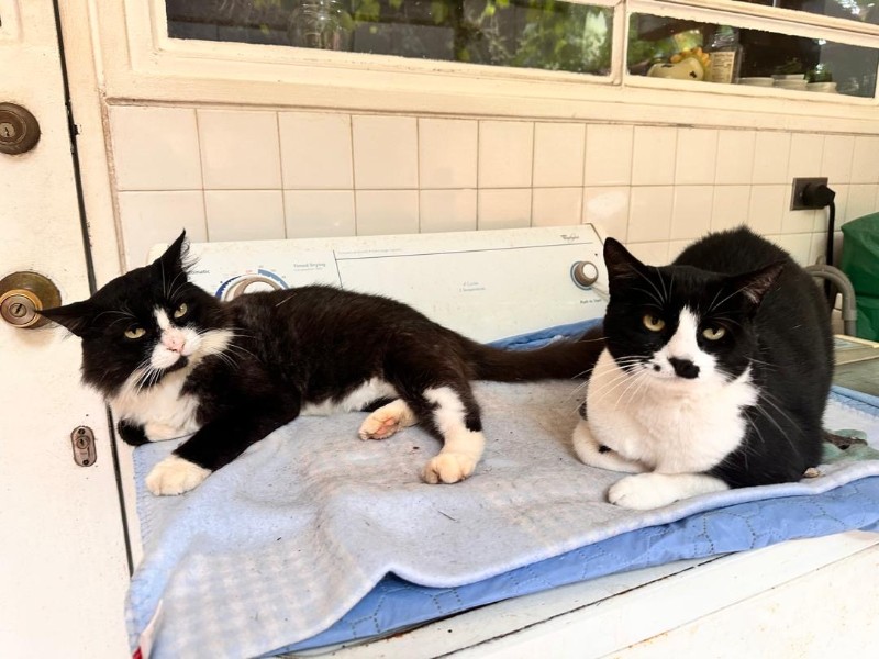 purujit1912 uploaded   305  day/s  ago