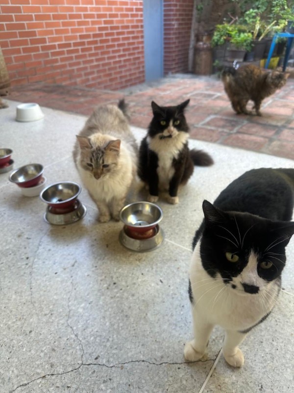 Shaila of the purujit1912 family