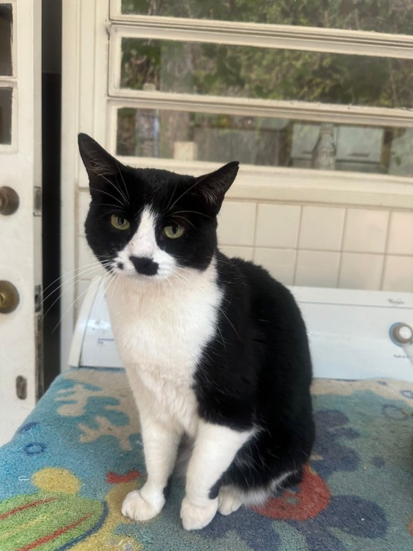 Shaila of the purujit1912 family