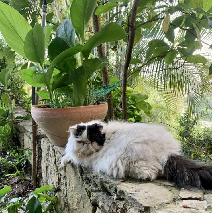 purujit1912 uploaded   3 year/s ago