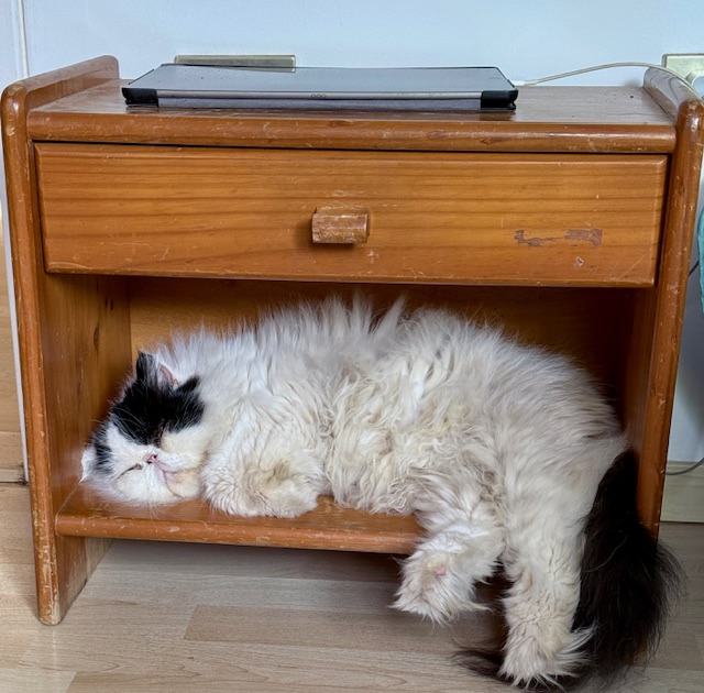 purujit1912 uploaded   180  day/s  ago