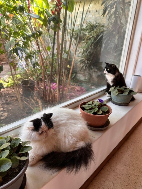 purujit1912 uploaded   1 year/s ago