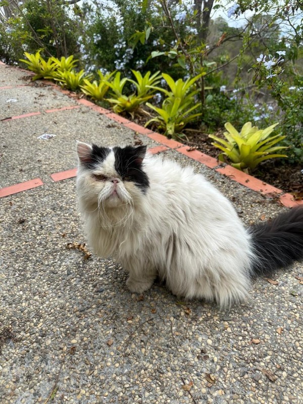 purujit1912 uploaded   8  day/s  ago