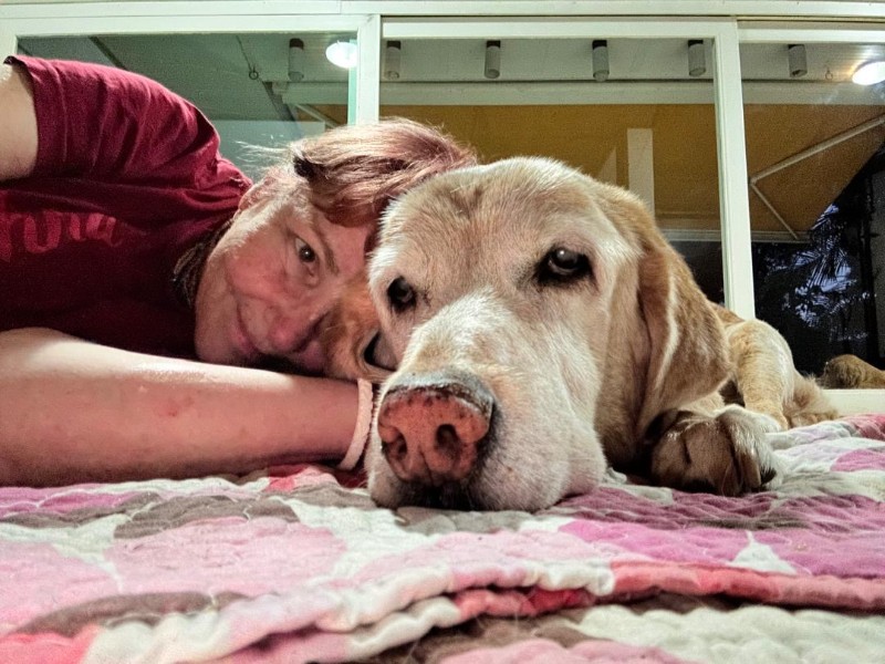 purujit1912 uploaded   313  day/s  ago