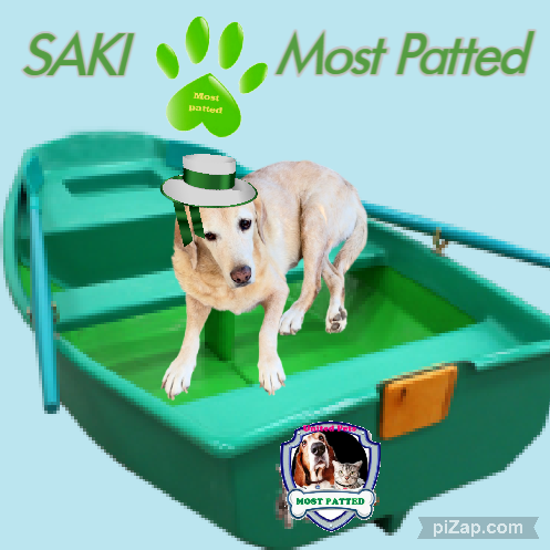 Saki of the purujit1912 family