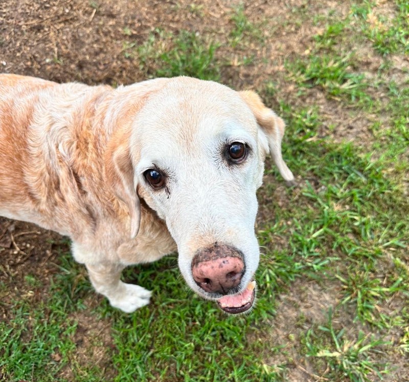 purujit1912 uploaded   331  day/s  ago