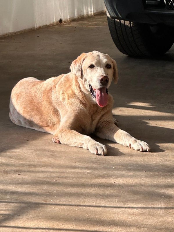 purujit1912 uploaded   1 year/s ago