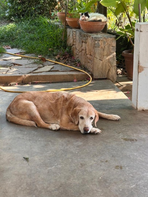 purujit1912 uploaded   1 year/s ago