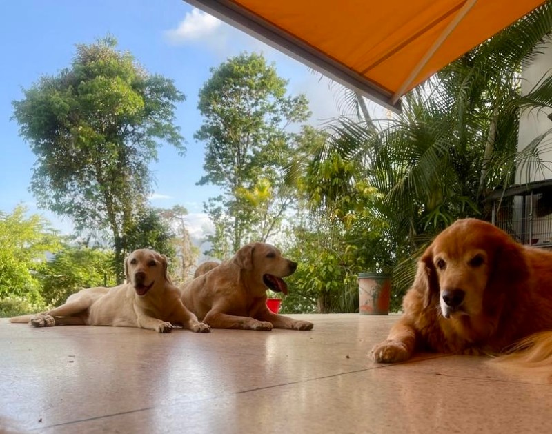 purujit1912 uploaded   1 year/s ago