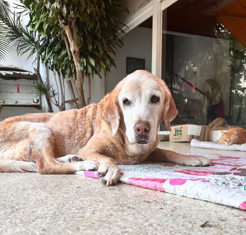 purujit1912 uploaded   313  day/s  ago