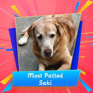 Saki of the purujit1912 family