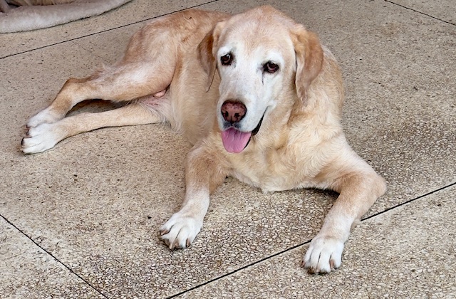 purujit1912 uploaded   1 year/s ago