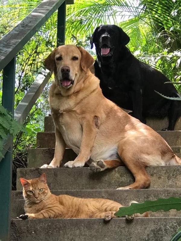 purujit1912 uploaded   3 year/s ago