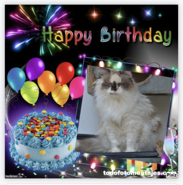 Purujita of the purujit1912 family