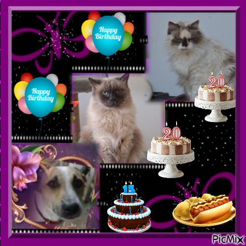 Purujita of the purujit1912 family