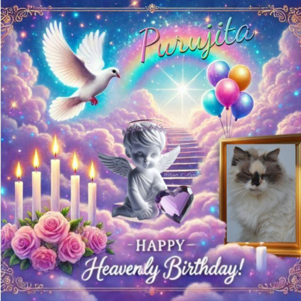 Purujita of the purujit1912 family