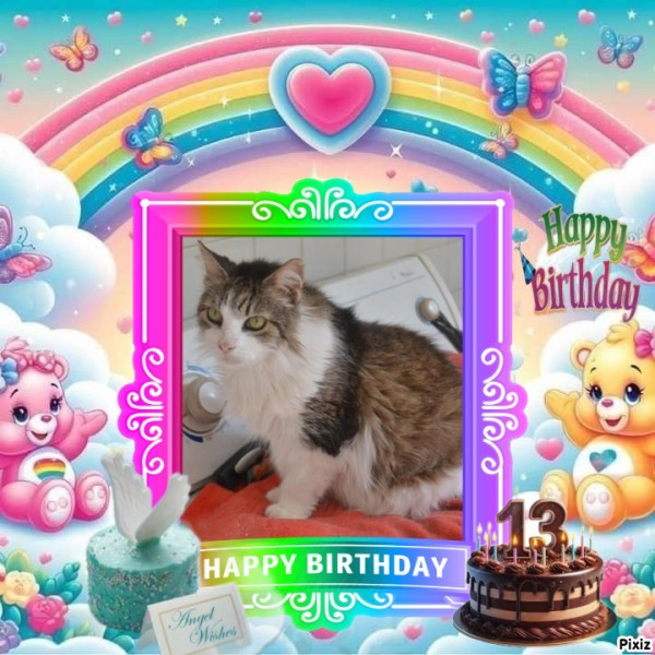 Caricia of the purujit1912 family