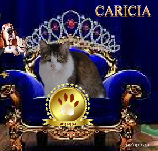 Caricia of the purujit1912 family