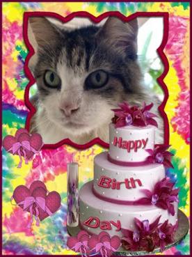 Caricia of the purujit1912 family