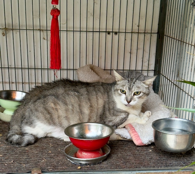 purujit1912 uploaded   1 year/s ago