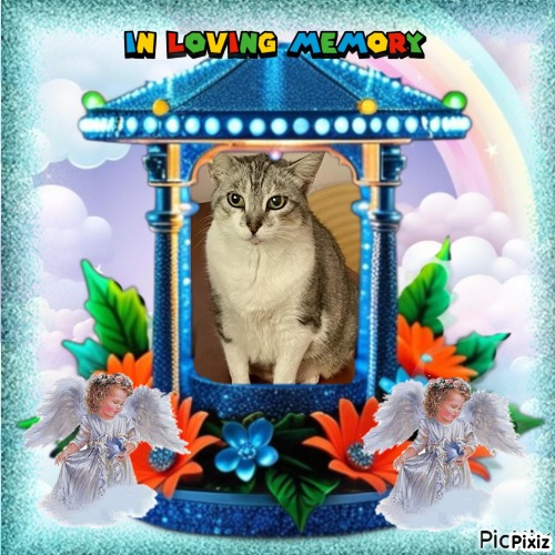 Shakti of the purujit1912 family