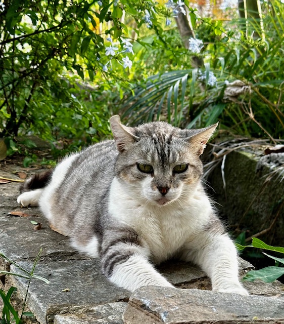 purujit1912 uploaded   1 year/s ago