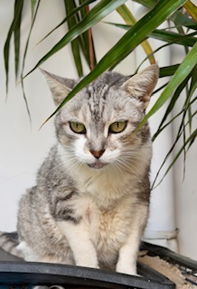 purujit1912 uploaded   1 year/s ago