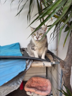 purujit1912 uploaded   1 year/s ago