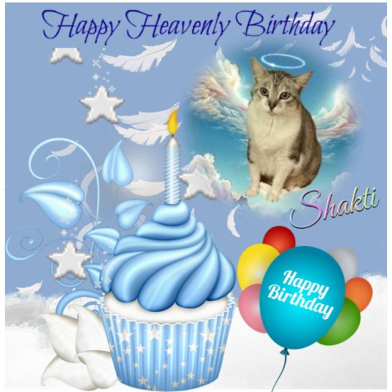 Shakti of the purujit1912 family