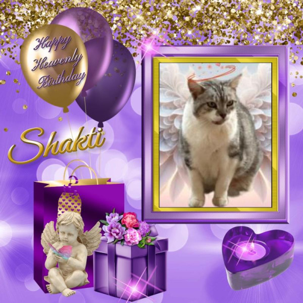 Shakti of the purujit1912 family