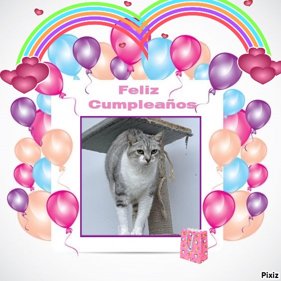 Shakti of the purujit1912 family