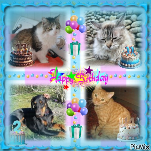 Shakti of the purujit1912 family