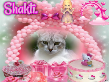 Shakti of the purujit1912 family