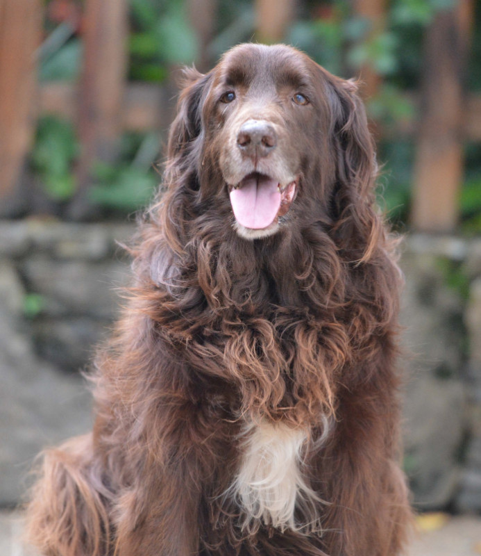 purujit1912 uploaded   6 year/s ago