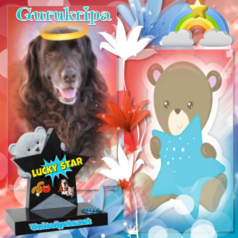 Gurukripa of the purujit1912 family