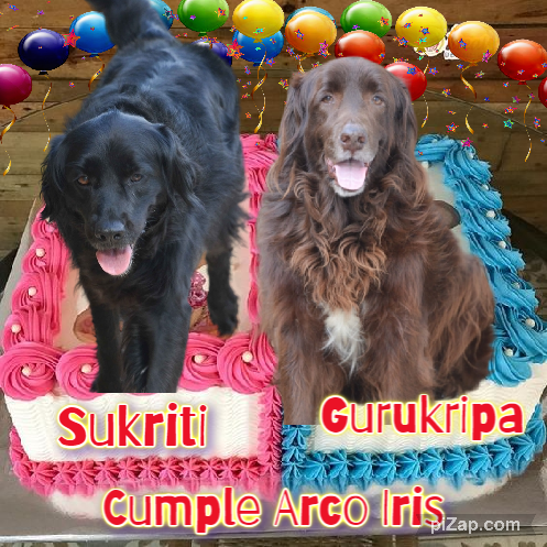 Gurukripa of the purujit1912 family