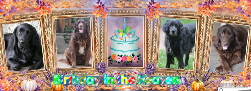 Gurukripa of the purujit1912 family