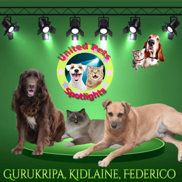 Gurukripa of the purujit1912 family