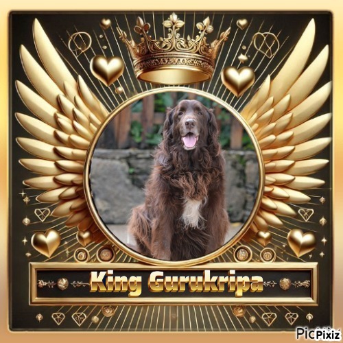 Gurukripa of the purujit1912 family